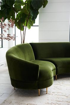 a green couch sitting next to a plant in a living room