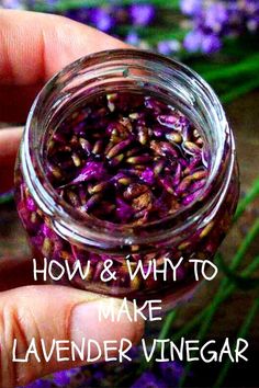 a hand holding a jar filled with purple flowers and the words how & why to make lavender vinegar