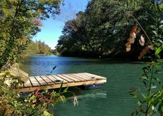 a bird sitting on a wooden dock in the middle of a lake surrounded by trees