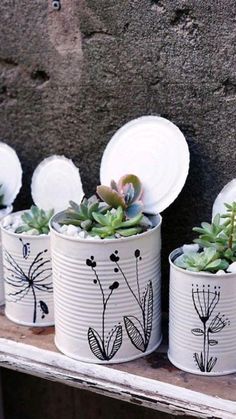 three tin cans with plants in them on a shelf