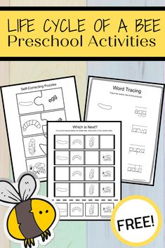 the life cycle of a bee preschool worksheet and printables for kids