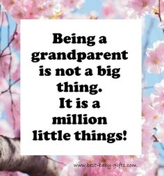 a quote on being a grandfather is not a big thing it's a million little things