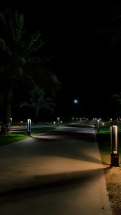 an empty path at night with palm trees in the background