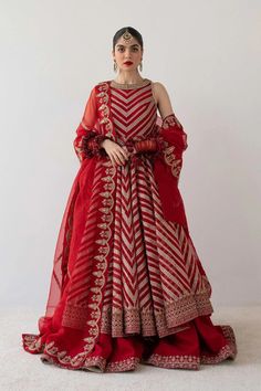 Zara Shahjahan, Lehenga Designs Simple, Pakistani Fancy Dresses, Salwar Kamiz, Indian Dresses Traditional, Traditional Indian Outfits, Indian Gowns Dresses, Pakistani Bridal Dresses, Ethnic Outfits