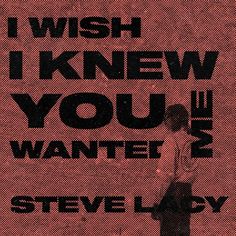 a poster with the words i wish i knew you, you wanted me and steve lady