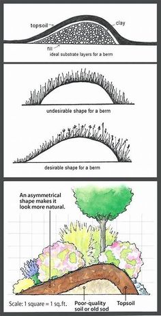 three different types of trees and how they are used to make them look like an island