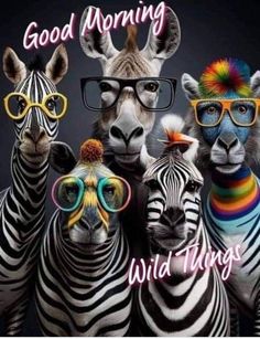 three zebras wearing glasses and hats with the words good morning wild things