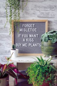 some plants are sitting on a table with a sign that says forget to mislete if you want a kiss buy me plants