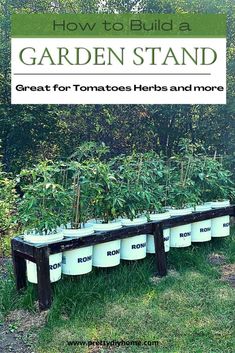 a garden stand with tomato plants in buckets and the title how to build a garden stand