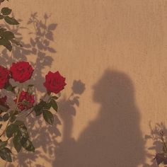 the shadow of a person standing in front of red roses on a beige wall with green leaves