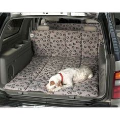 a white dog laying in the back of a car