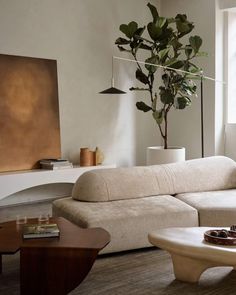 a living room filled with furniture and a large plant in the middle of the room