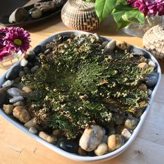 a bowl filled with rocks and plants on top of a wooden table