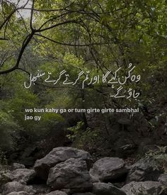 the words are written in two languages above rocks and trees with green leaves on them