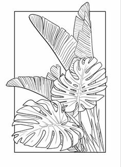 a black and white drawing of tropical plants in a square frame on a white background