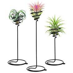 three metal plant stands with plants in them