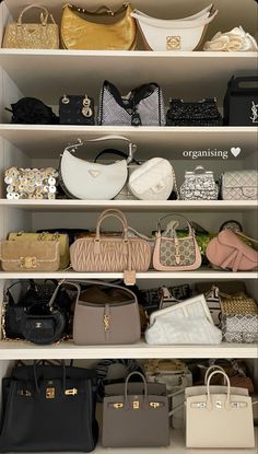 Bag Closet, Expensive Bag, 2025 Vision