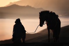 a person is standing next to a horse with a rope on it's neck