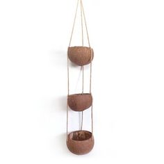 three hanging planters made out of coconuts and twine ropes on a white background