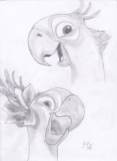 an image of two birds with faces drawn in pencil