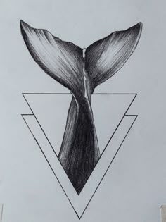 a drawing of a whale tail in a triangle