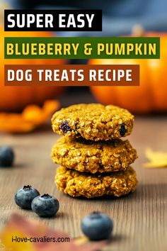 Treat your furry friend to the perfect blend of flavor and nutrition with our homemade peanut butter and blueberry dog treats! Combining protein-packed peanut butter and antioxidant-rich blueberries, these dog biscuits are both tasty and healthy. Whether you’re making these treats as training rewards or everyday snacks, your dog will love every bite. Click here to learn how to create these homemade peanut butter blueberry dog cookies and start making healthy snacks for your pup today! Peanut Butter And Blueberry, Blueberry Dog Treats, Peanut Butter Treats, Peanut Butter Blueberry, Peanut Butter Jar, Pumpkin Dog Treats