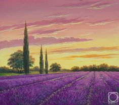 a painting of a lavender field at sunset