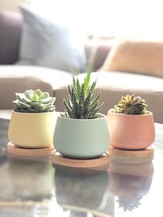 three small potted plants sitting on top of a glass table next to a couch