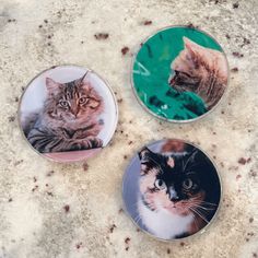 three cat magnets sitting on the ground next to each other, one with an image of a cat