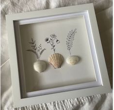 three seashells are mounted in a white frame