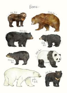 the bears are all different colors and sizes in this drawing, they appear to be black or white