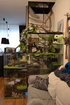 a living room filled with furniture and lots of plants on top of glass shelves in front of a window