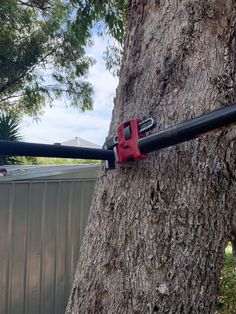 a tree that has some kind of tool attached to it