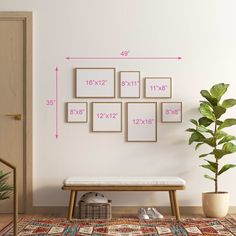 a room with a bench, potted plant and four frames hanging on the wall