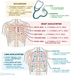 the back and neck diagram with instructions for different types of breathings, including an inhale