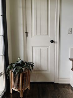 a potted plant sitting in front of a white door on a hard wood floor