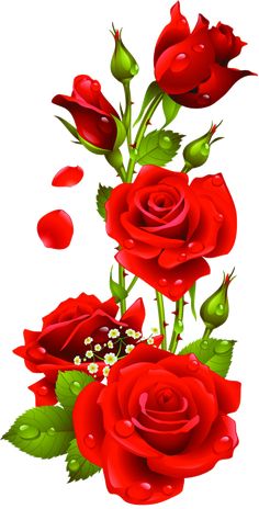 three red roses with green leaves and buds