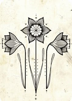 a drawing of three flowers on a white background