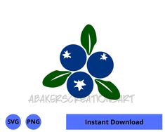 blueberries with green leaves and stars in the center are shown on a white background