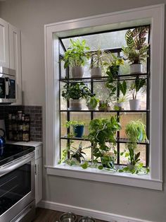 a kitchen window filled with potted plants