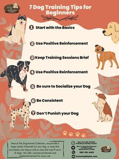 a dog training poster with instructions on how to train your dog for beginner's