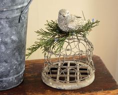 a bird sitting on top of a wire cage next to a potted pine tree