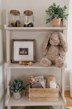 a stuffed animal sitting on top of a book shelf next to a potted plant