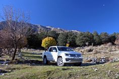 a white truck parked on top of a grass covered field next to a forest filled with trees