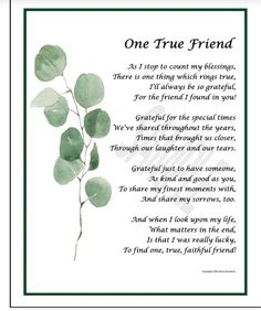 Verses About Friendship, Gift For Neighbor, Silver Dollar Plant, You're Special, Friend Poems, Poems For Him, Classic Quotes, Best Friend Poems, Friend Friendship