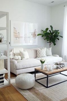 a living room filled with furniture and a potted plant on top of a coffee table