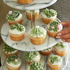 a three tiered cake stand with cupcakes and succulents on it