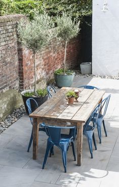 a wooden table surrounded by blue chairs and potted plants