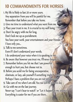 a poem written to a horse that is standing on its hind legs with the words, 10 commandments for horses