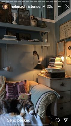 a dog laying on a couch in a living room next to a bookshelf